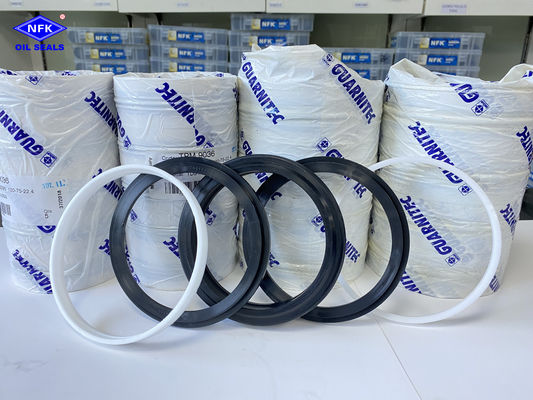 TPM NBR Combination Oil Seal