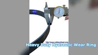 WR 272x280x30 دليل الضغط العالي لحلقة التآكل الهيدروليكية